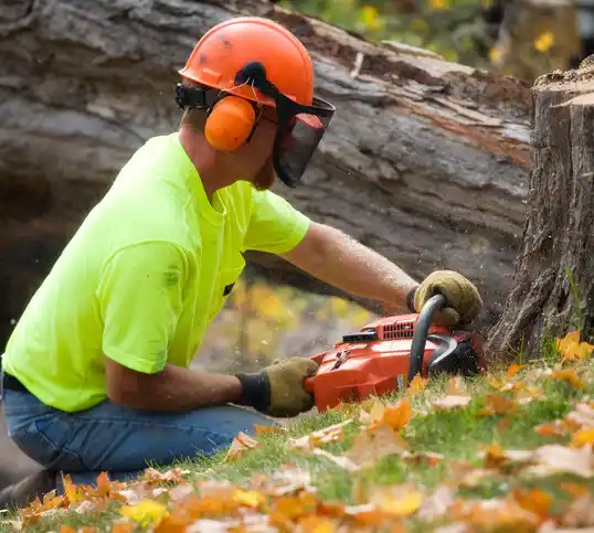 tree services Overland